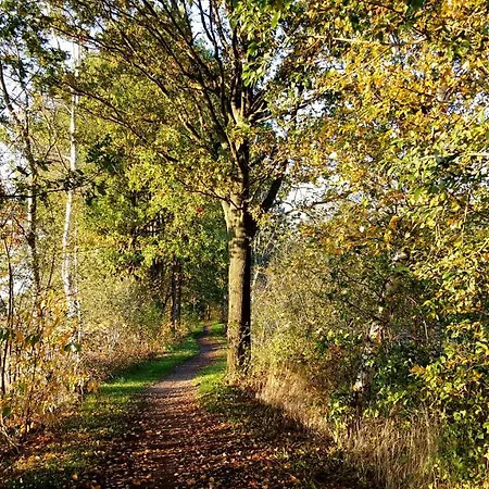 Apartmán Grafschaft