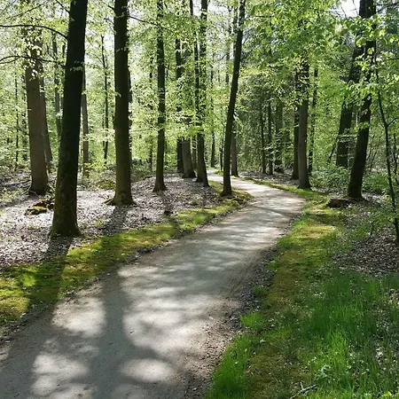 Grafschaft Apartment *