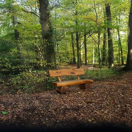 Grafschaft Apartment