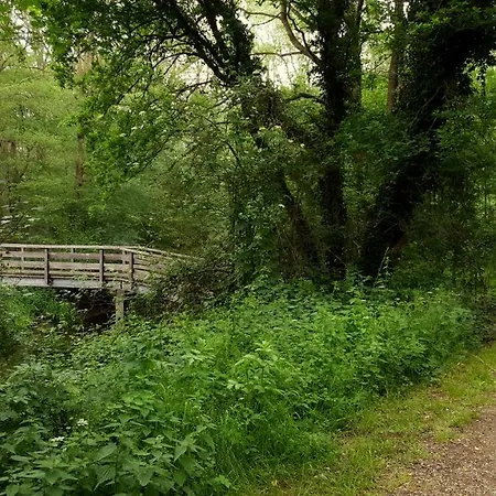 Grafschaft * Nordhorn