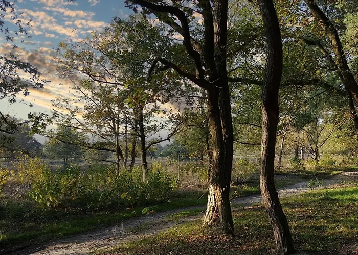 Grafschaft * 诺德霍恩