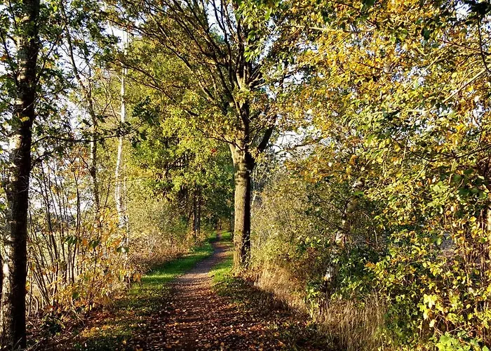 Lejlighed Grafschaft