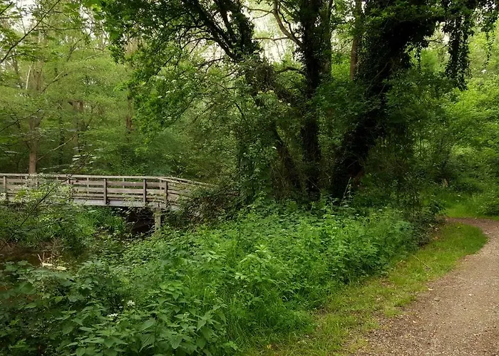 Grafschaft * Nordhorn